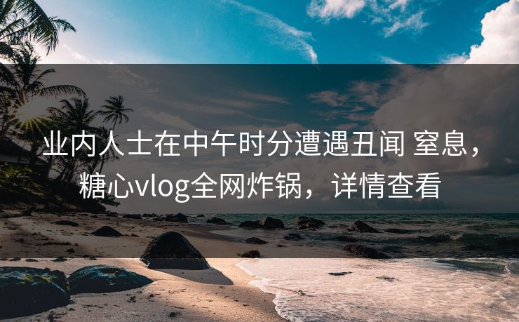 业内人士在中午时分遭遇丑闻 窒息,糖心vlog全网炸锅,详情查看